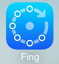 fing_icon