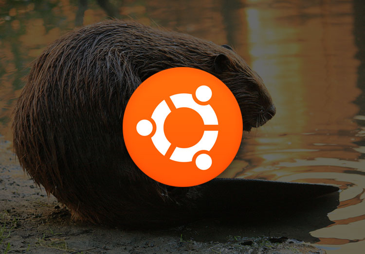 Ubuntu18 04 Bionic Beaver Title