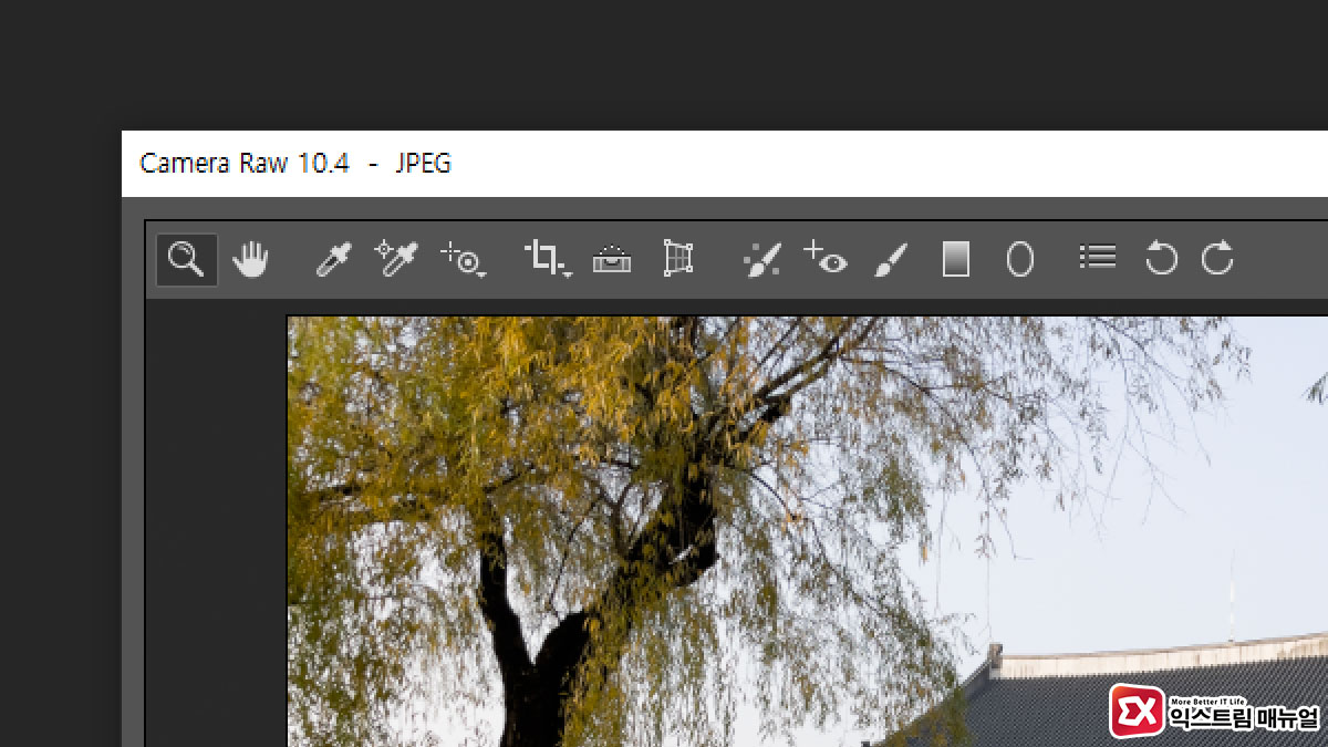 How To Open Raw, Jpg Files In Adobe Photoshop Camera Raw Title
